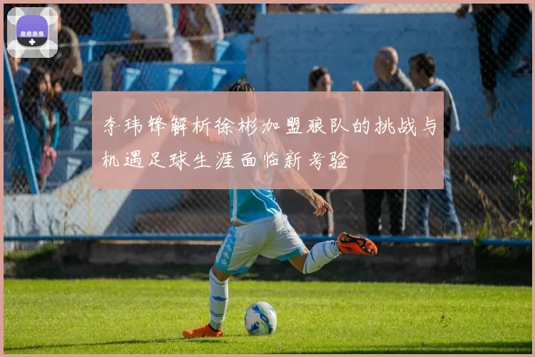 李玮锋解析徐彬加盟狼队的挑战与机遇足球生涯面临新考验